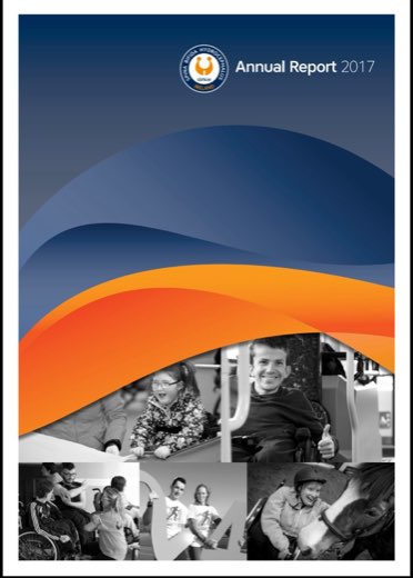 Cover preview of 2017 Annual Report