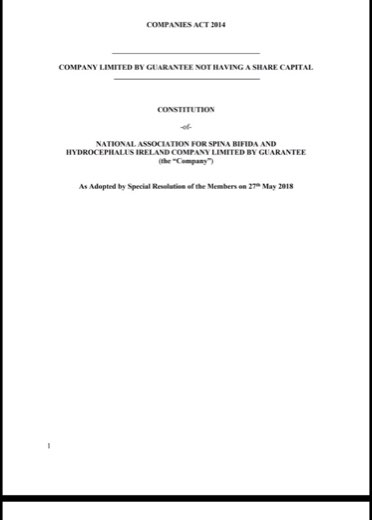 Cover preview of SBHI Constitution