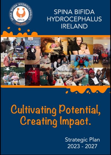 Cover preview of Strategy 2020–2022
